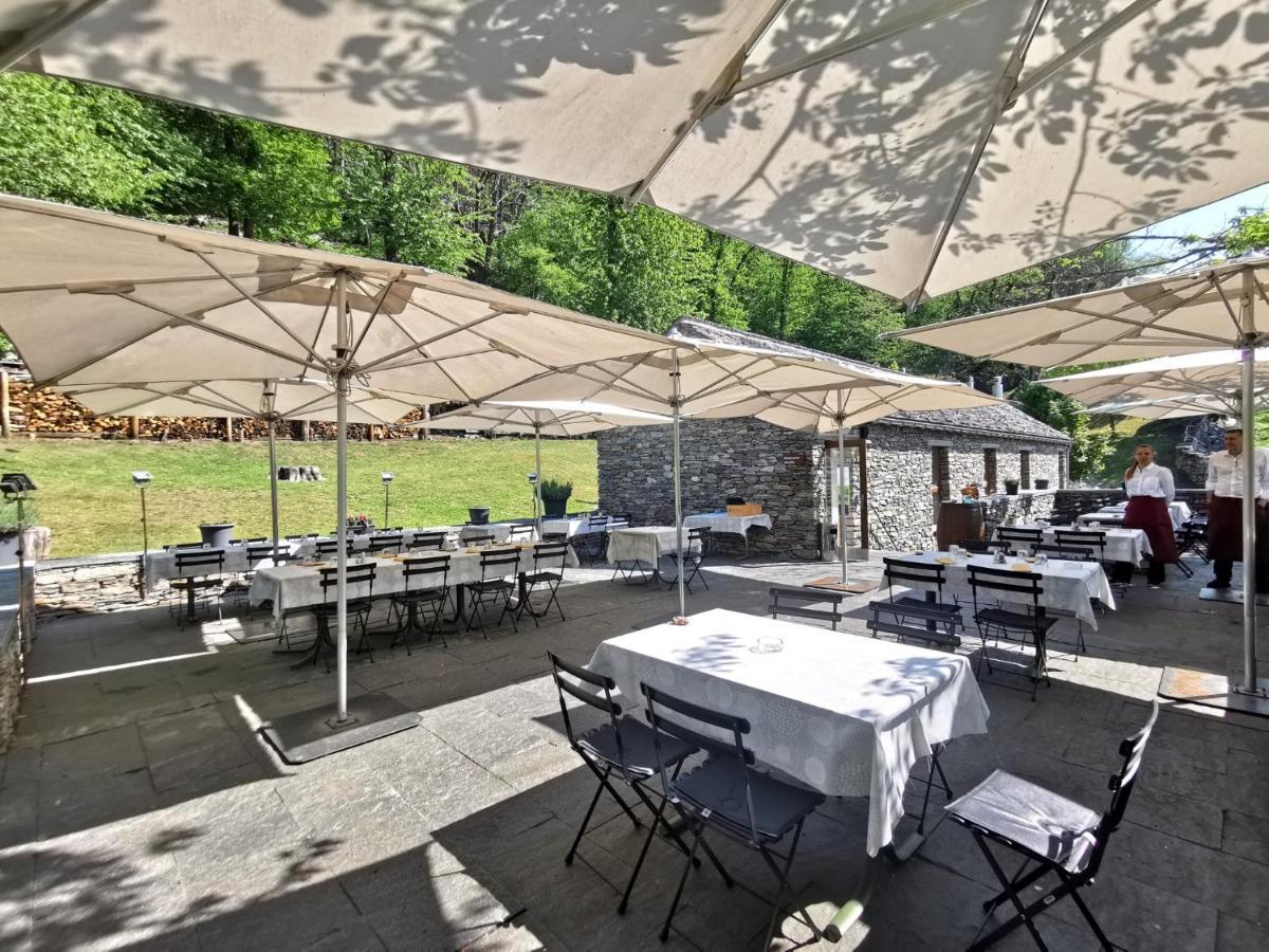 Birdbox Curzutt Hotel Monte Carasso Exterior photo
